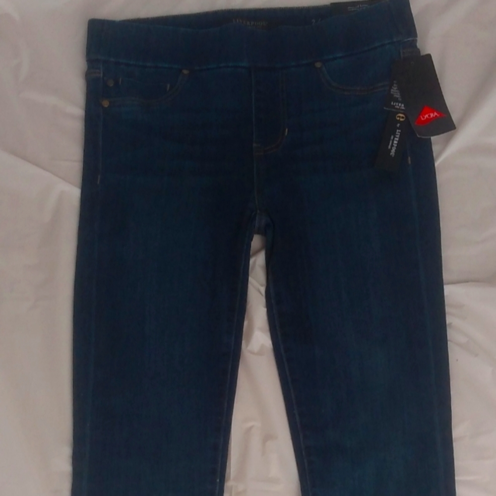 Love by Liverpool Stretch Lycra jean material pants